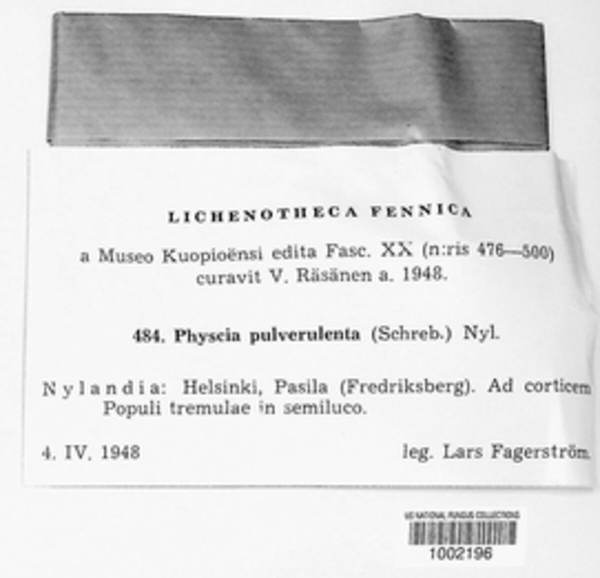 Physconia pulverulenta image